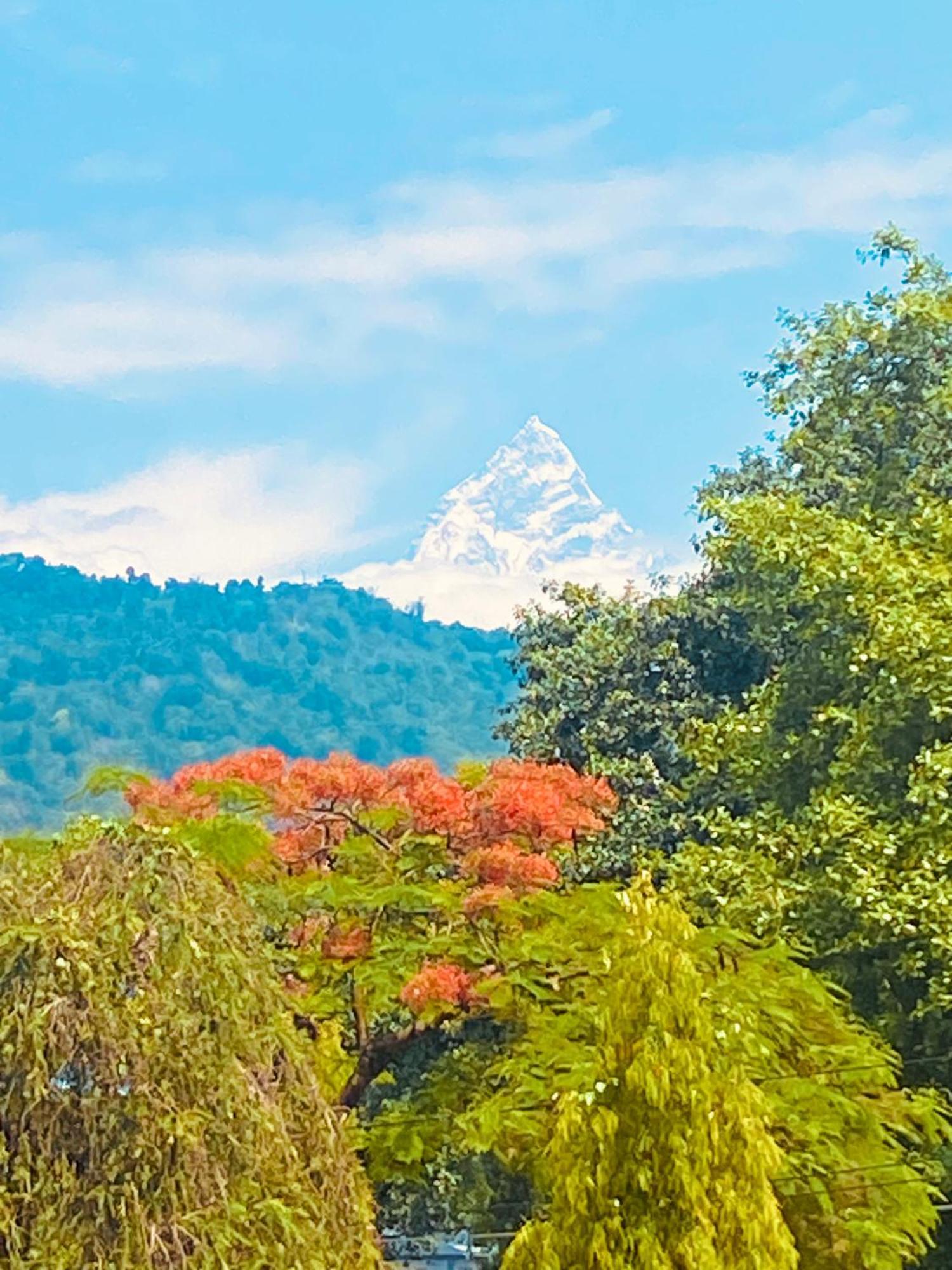 Three Jewels Boutique Hotel Pokhara Esterno foto